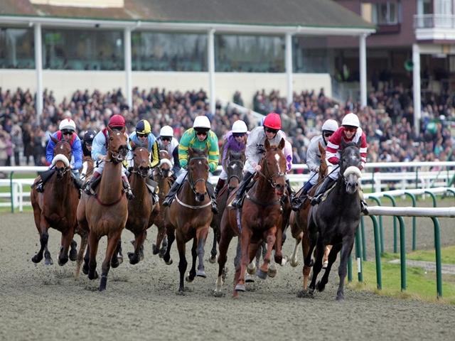 Lingfield is one of today's four afternoon meetings